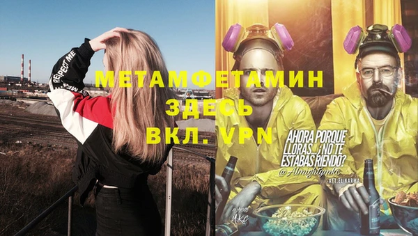 мет Алексин