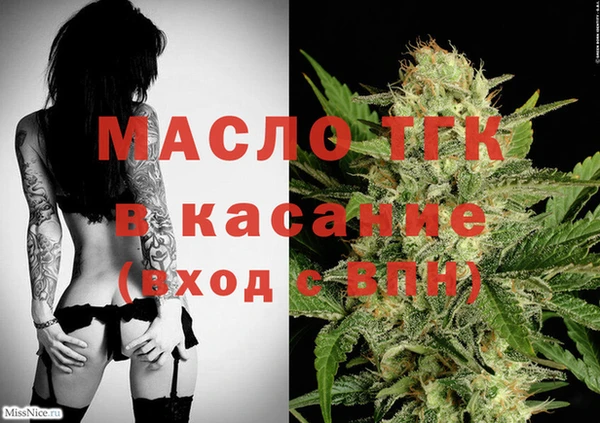 мет Алексин