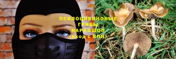 мет Алексин