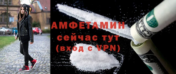 мет Алексин