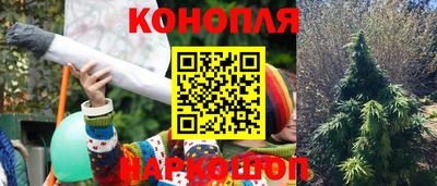 СК Комсомольск-на-Амуре