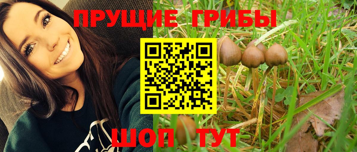 Псилоцибиновые грибы мицелий  Вход с VPN  Северодвинск 