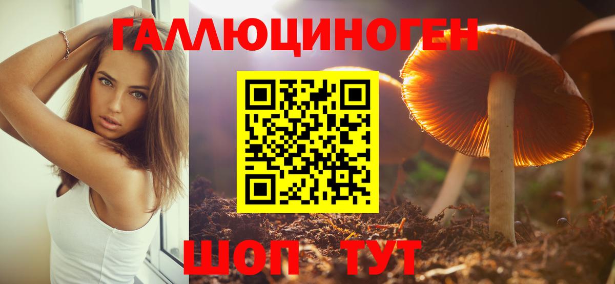 Галлюциногенные грибы Psilocybe Северодвинск
