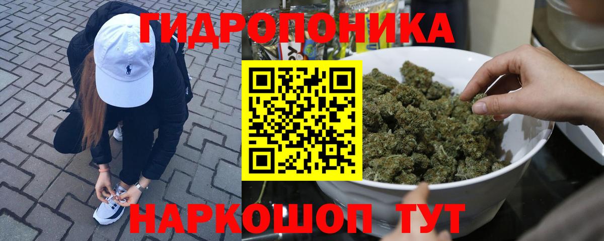 МАРИХУАНА план Северодвинск